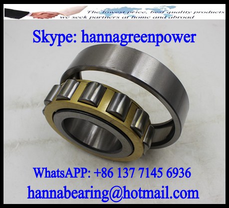 185RIF696 Single Row Cylindrical Roller Bearing 469.9x698.5x88.9mm