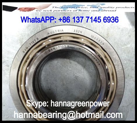 BVN-7102B Air Compressor Bearing 60x110x22mm